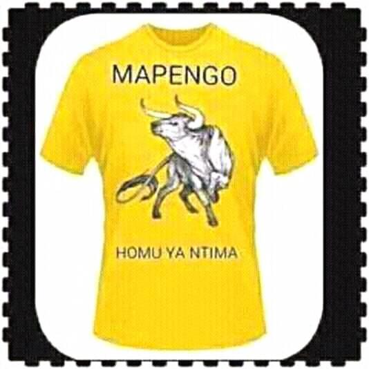 Godfrey &mapengo security training academy