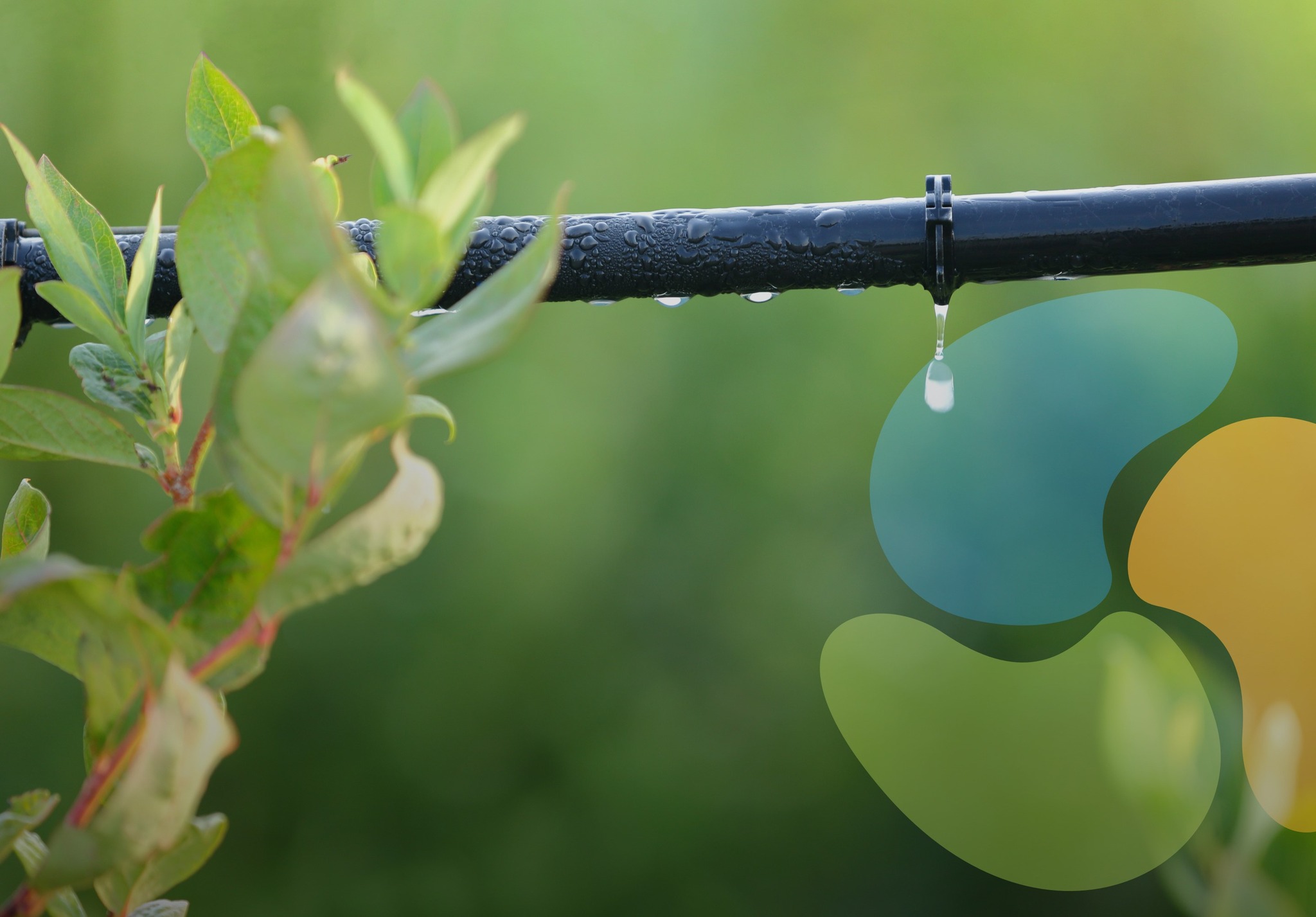 Nexus Platform - The Water, Energy & Food Security Resource Platform