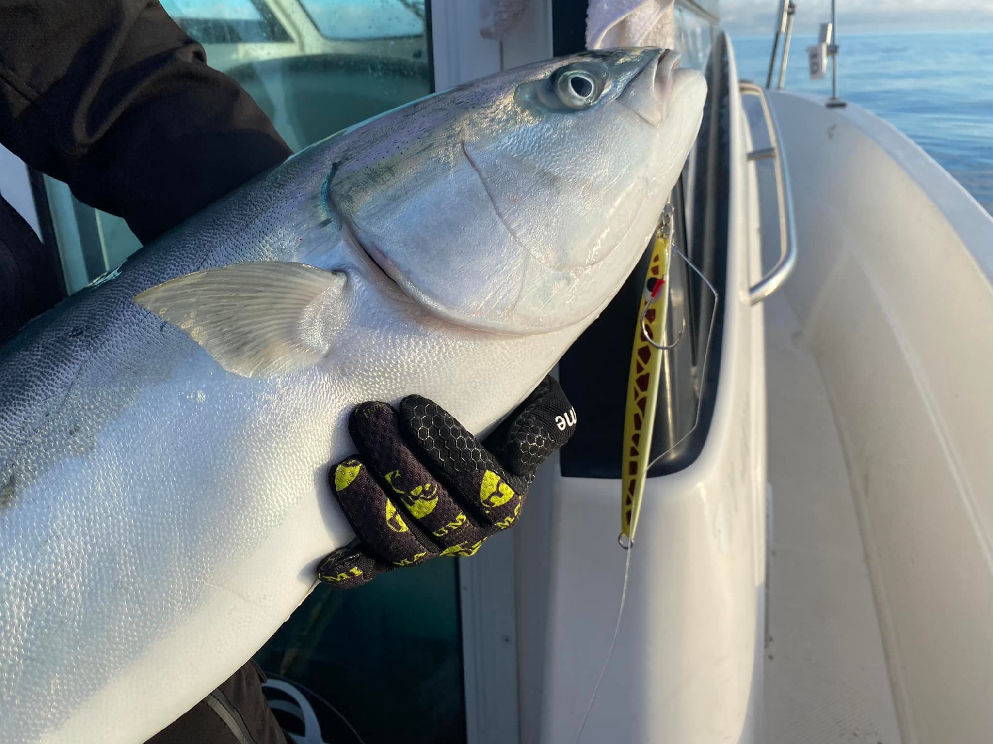 北海道積丹遊漁船 - #エンドウクラフト #代表ジグセミロング 175g
