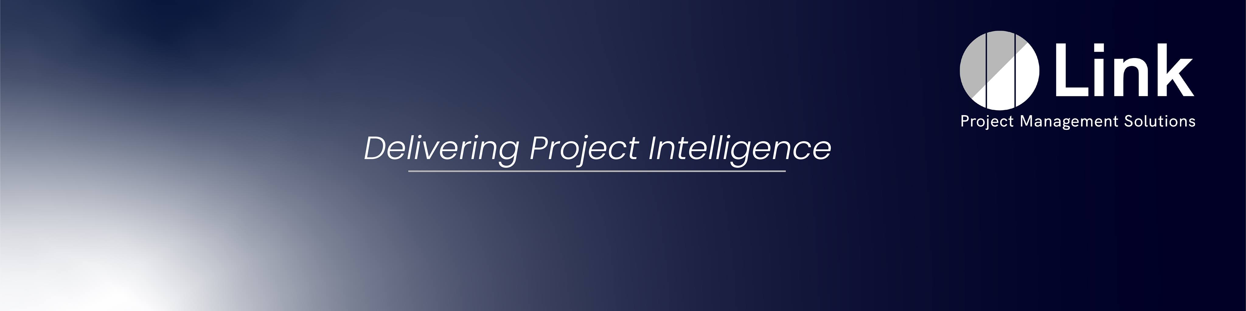 Link Project Management Solutions LLC | Houston TX