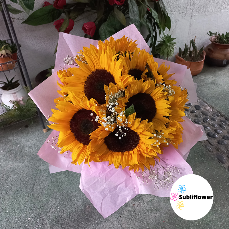 Subliflower - El girasol es el símbolo del Sol y simboliza...
