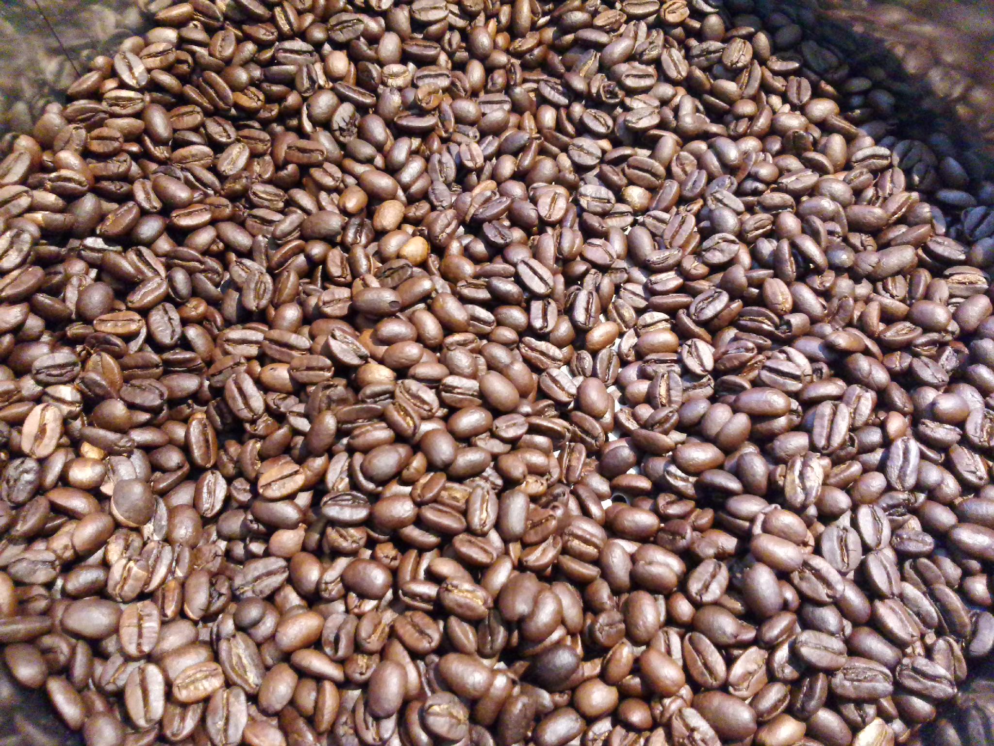 R and R coffee labo | Isahaya-shi Nagasaki