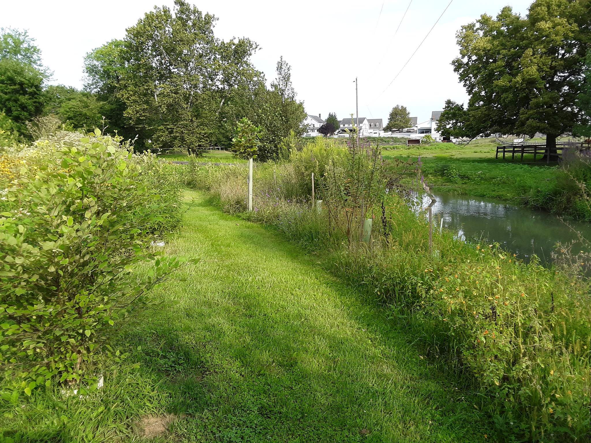 Little Conestoga Watershed Alliance