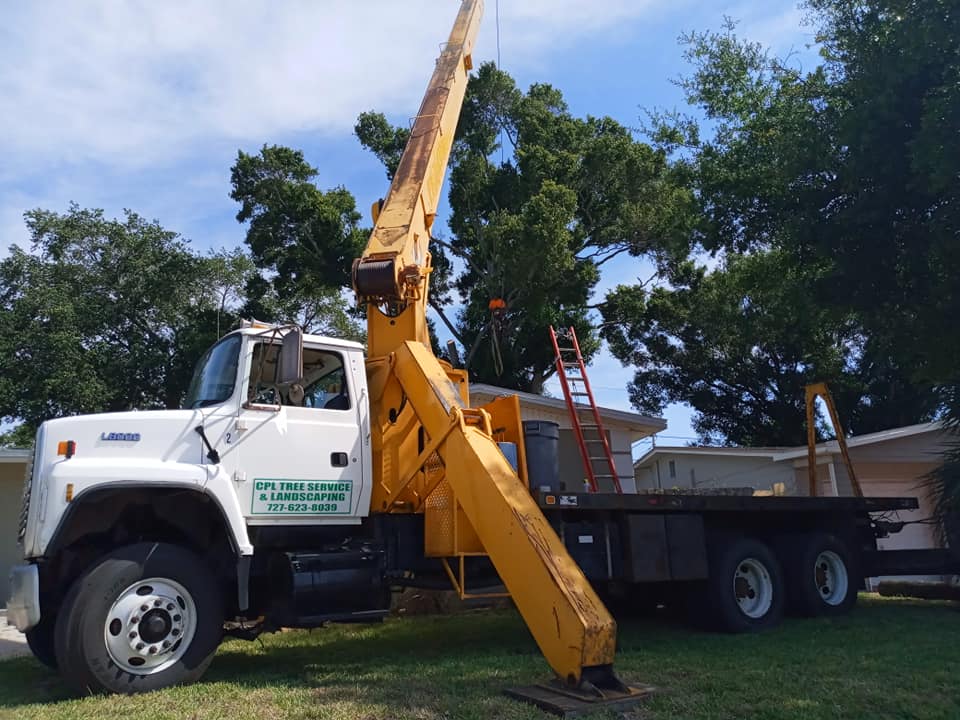 CPL Tree Service and Landscaping | Pinellas Park FL