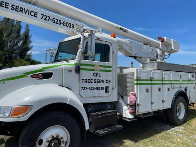 CPL Tree Service and Landscaping | Pinellas Park FL