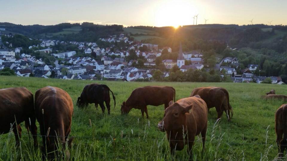 Komane Markt Bad Schwalbach... - Komane Markt Bad Schwalbach