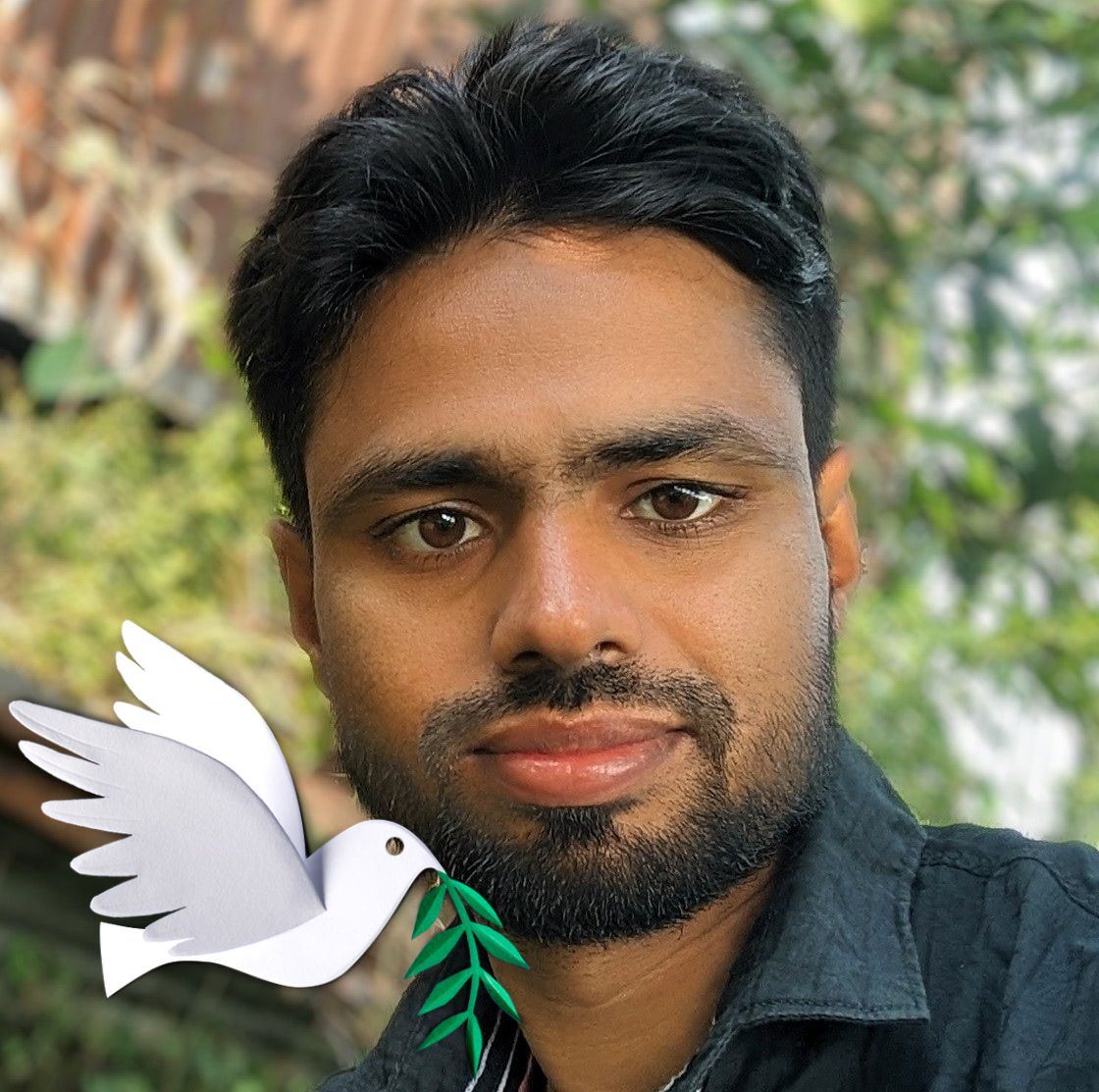 Ismail Hossen Robi