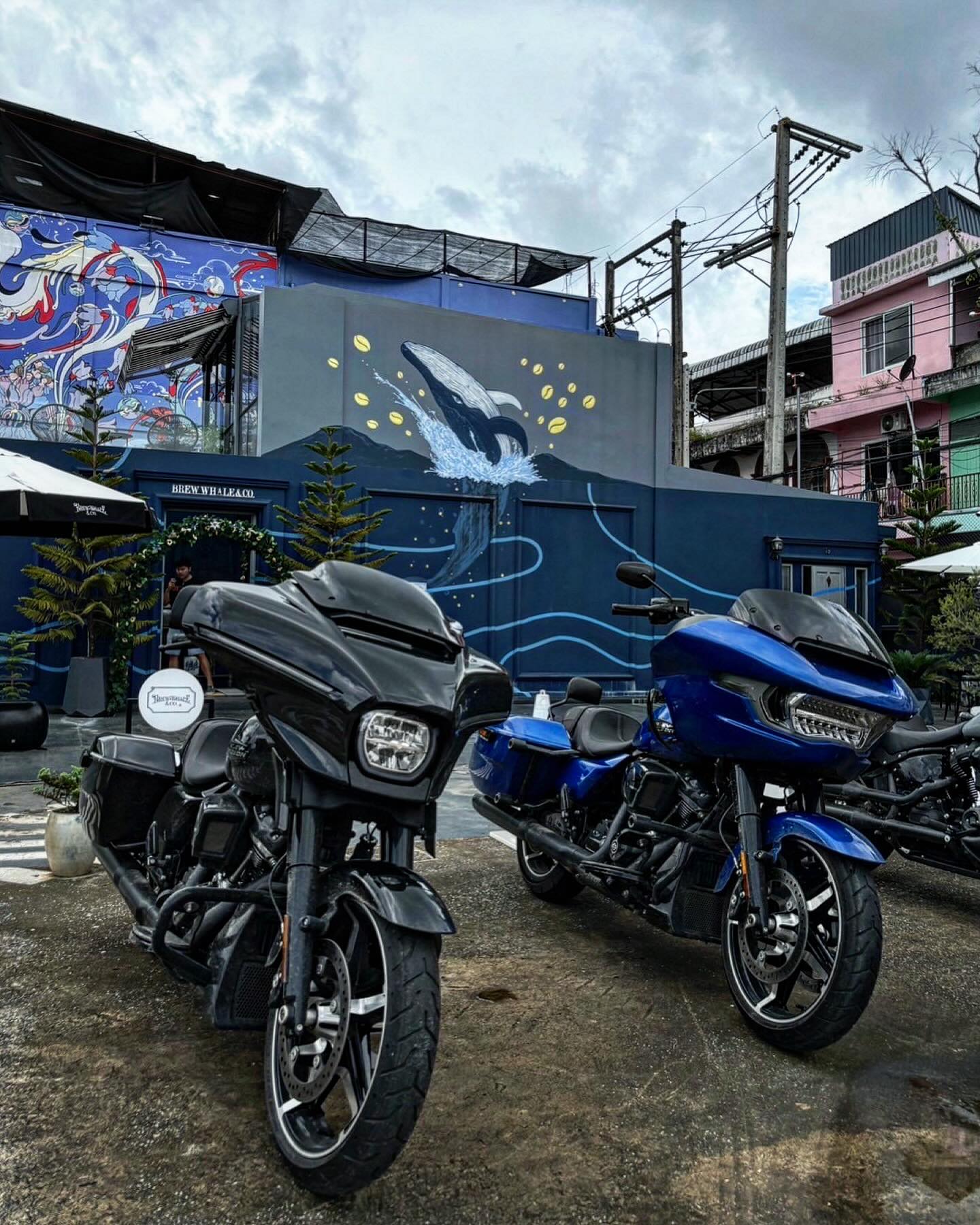Free test ride #harleydavidson... - Brew Whale & Co. Cafe | Facebook
