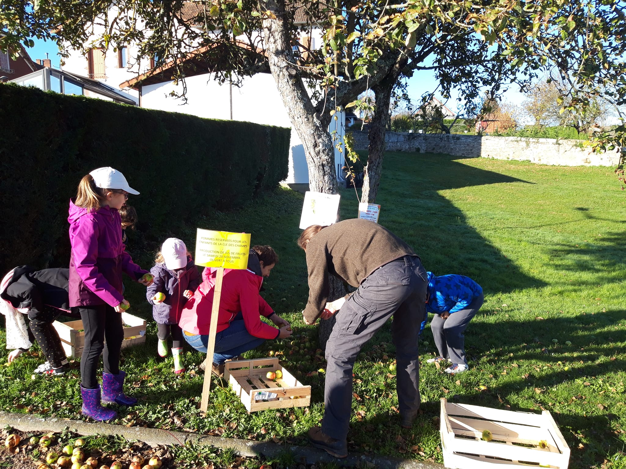 association-sucre-vert-saint-victor