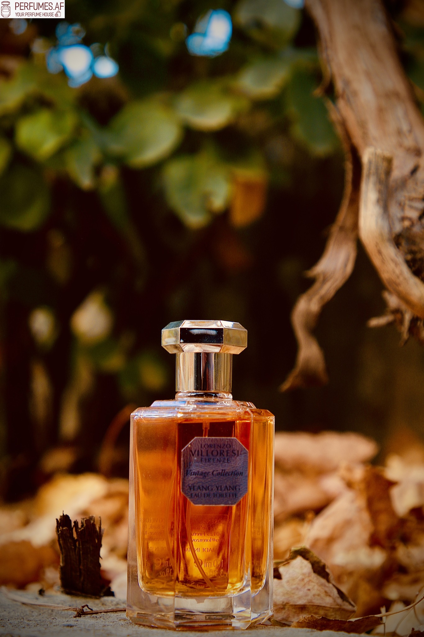 Pino Lancetti's Il perfume, a unique 90s fragrance