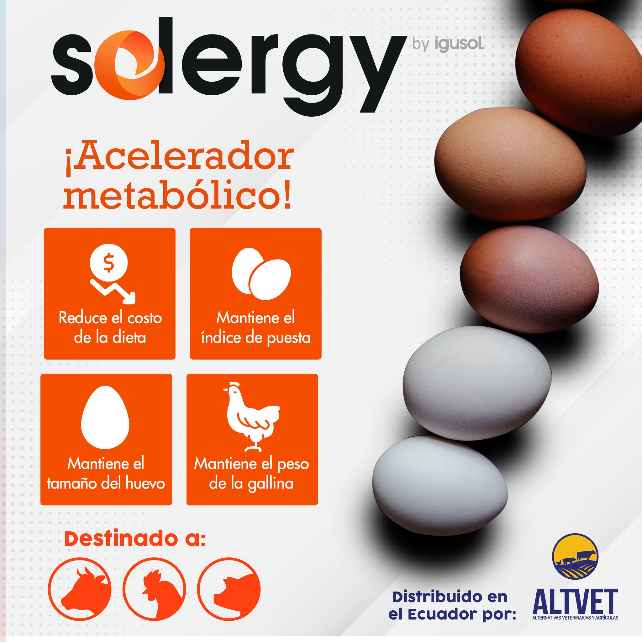 Altvet S.A. - Solergy es una novedad tecnológica... | Facebook