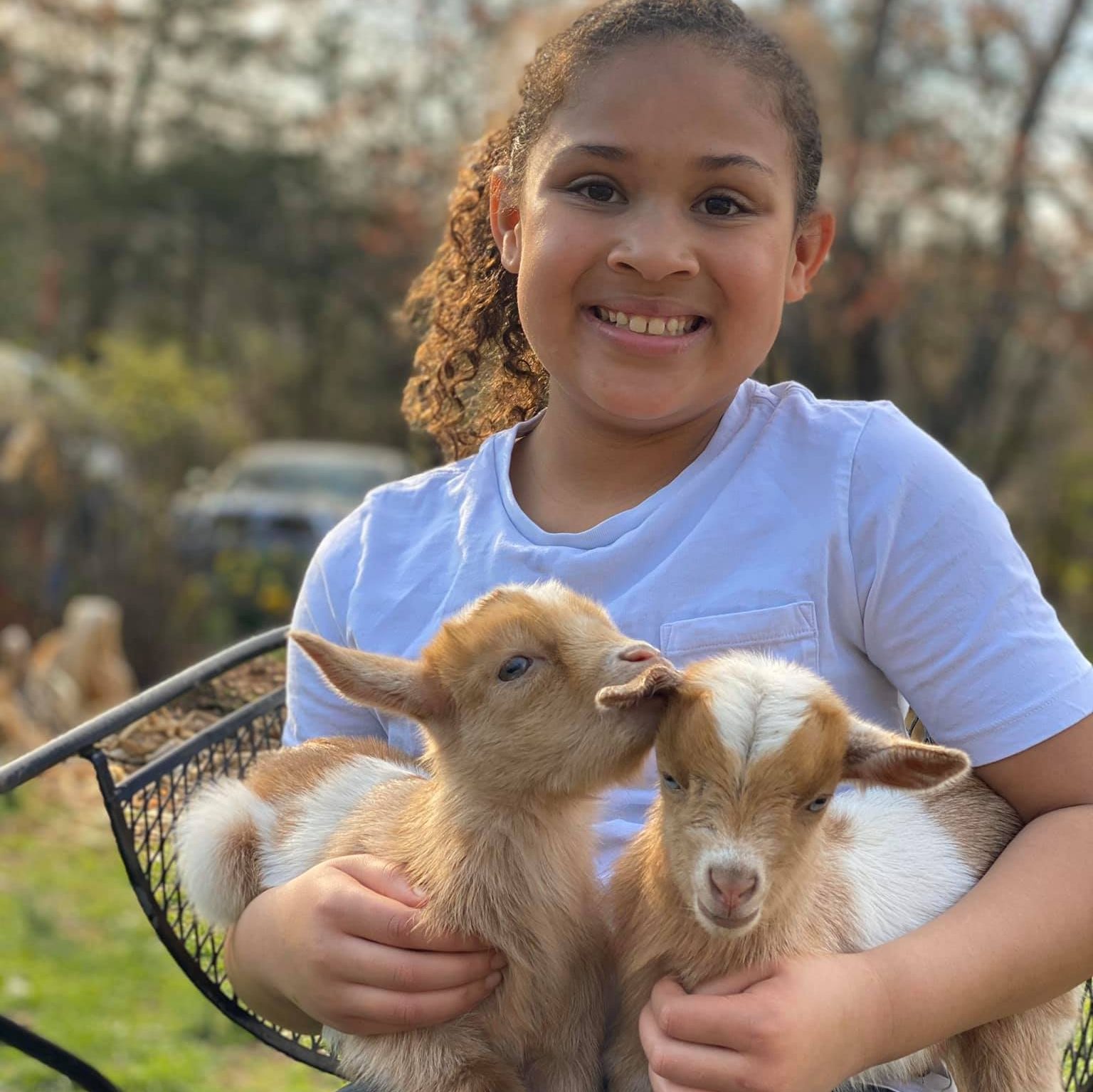 What should we name the new boys?... - Tapscott Family Farm