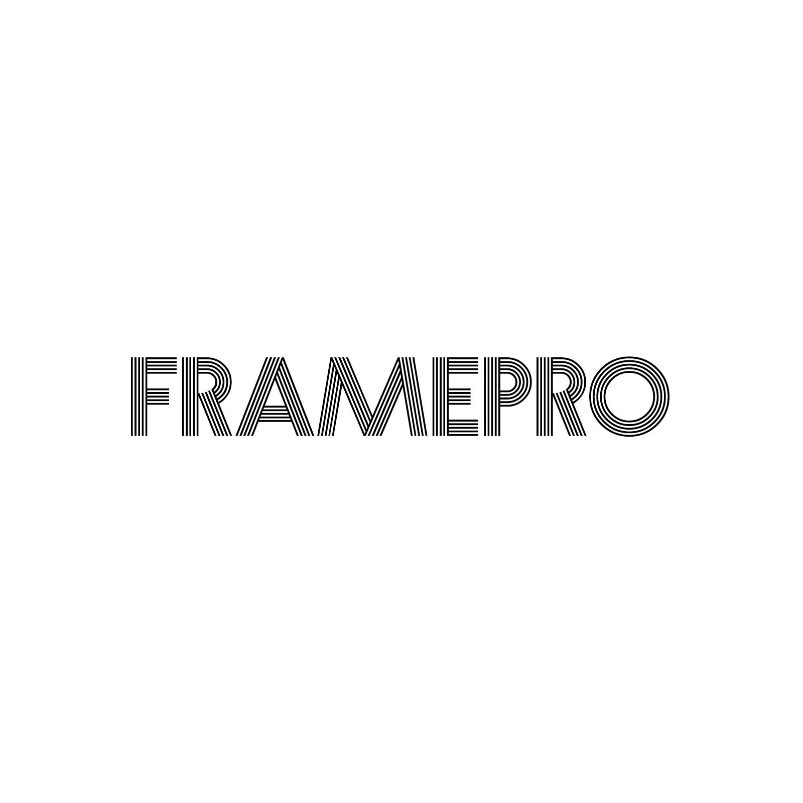 FramePro