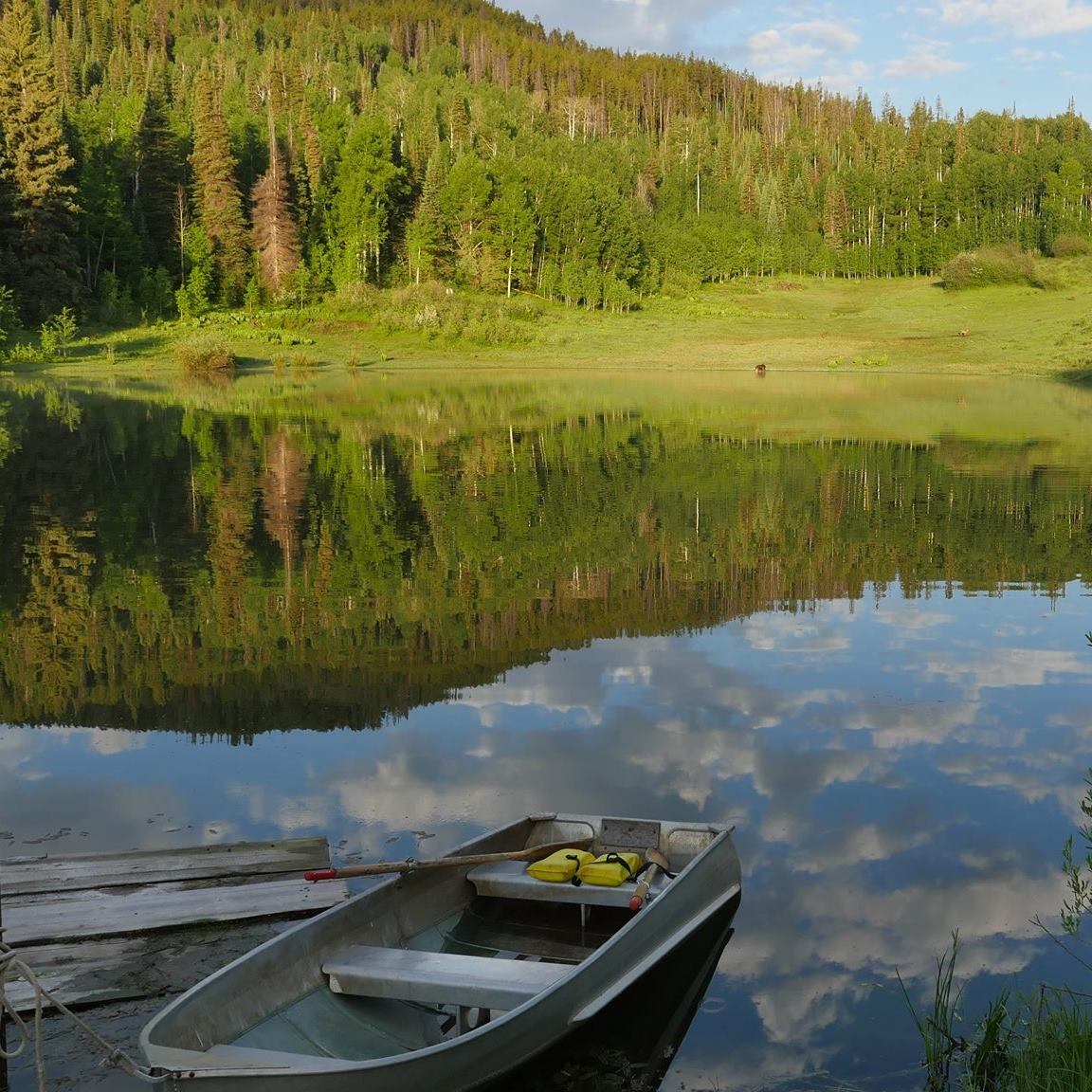 Ute Lodge - The Oak Cabin just became available for the... | Facebook