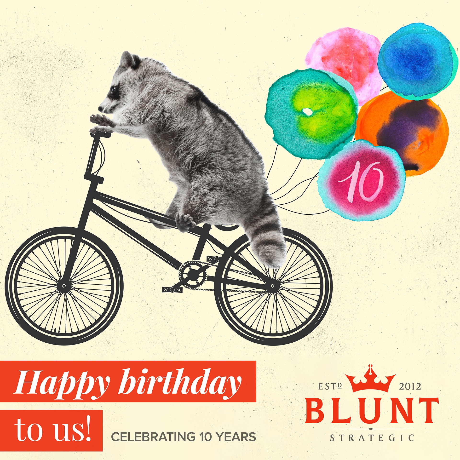 Blunt Strategic - This August, we are celebrating our 10th... | Facebook