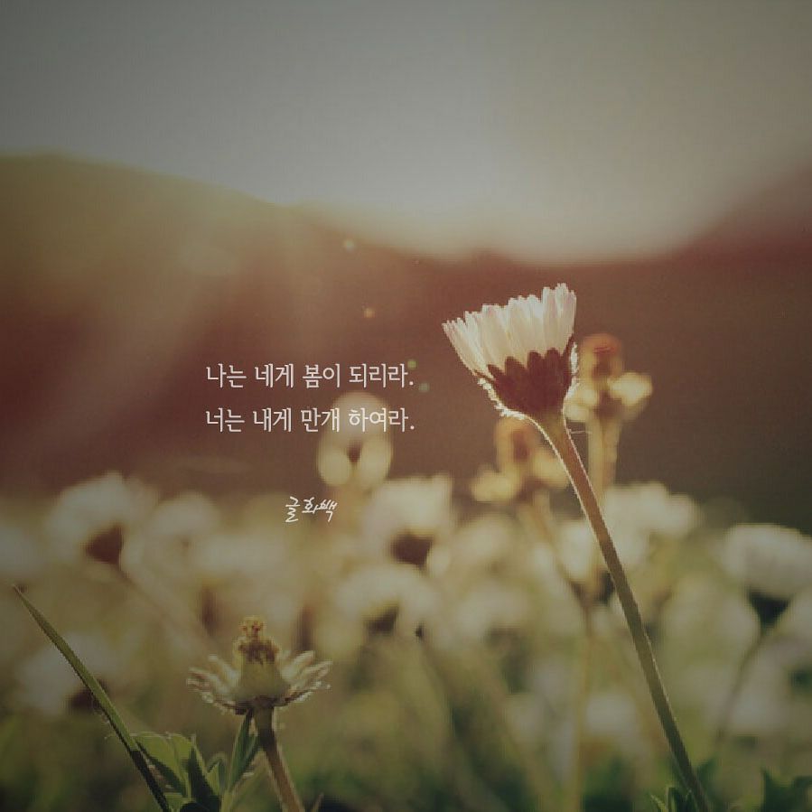좋은글 행복메시지 Korean Quotes - #좋은글 #행복메시지 말을 배우는데 2년이지만 침묵을 배우는 데는 60년이나 걸린 ...