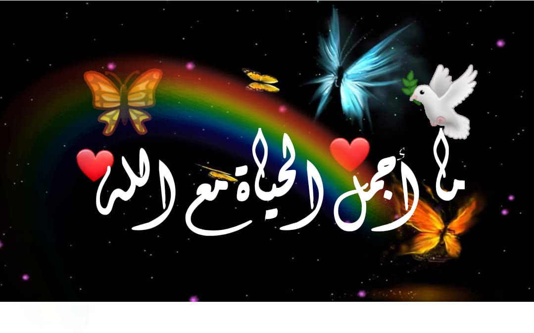 الطريق إلى الله - عن ابن عمر رضي الله عنهما قال: أخذ رسول الله صلى الله ...