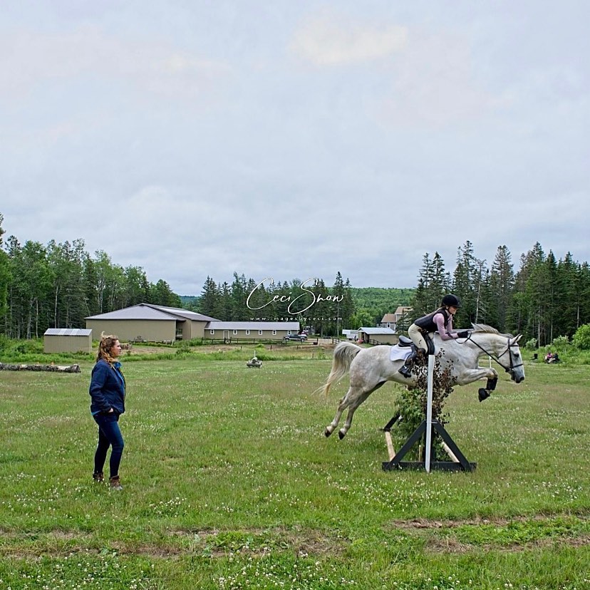 Horse - **LEARNING OPPORTUNITY** Still need more XC? Us too! Join ...