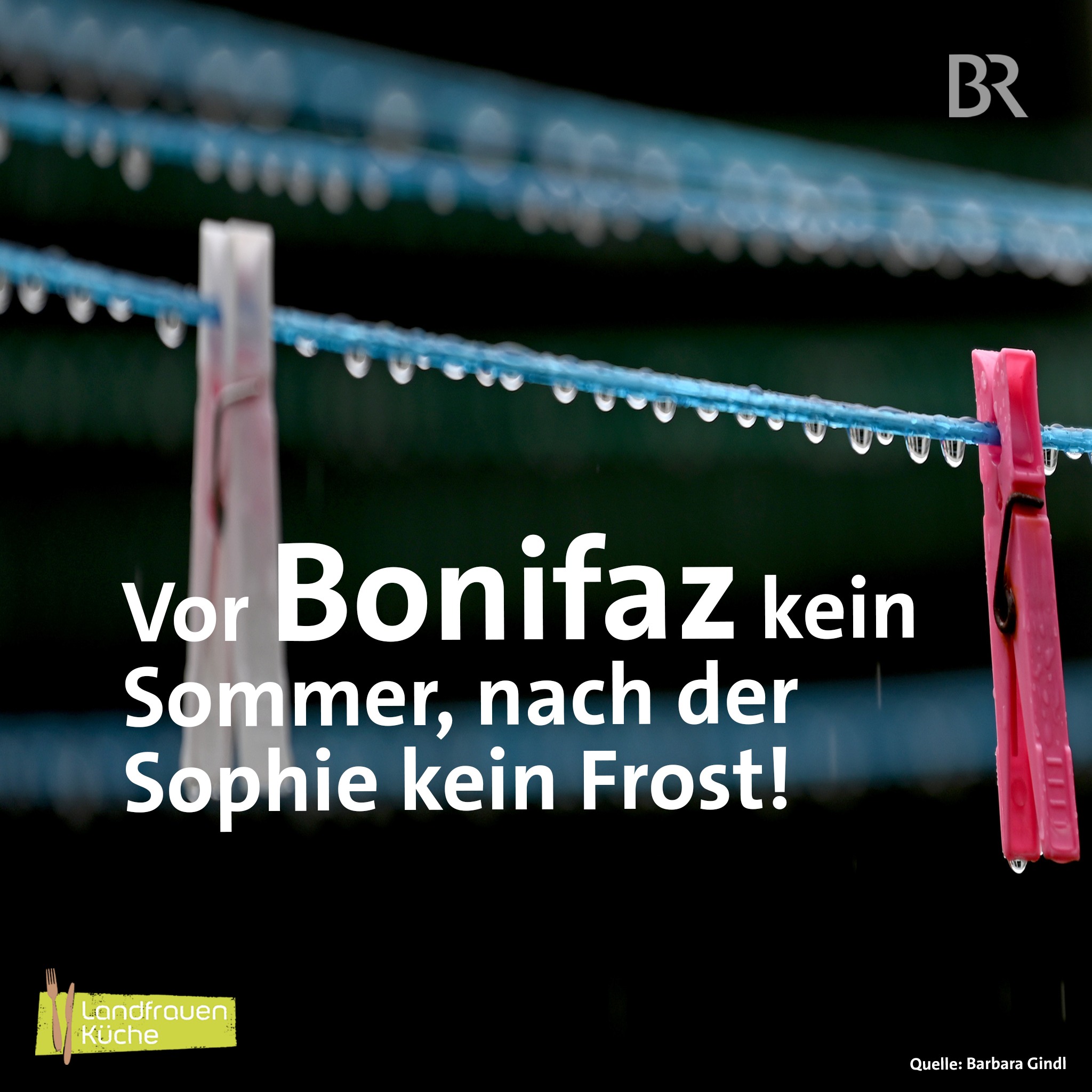Landfrauenküche - Heute ist Bonifatius - Tag 4 der 