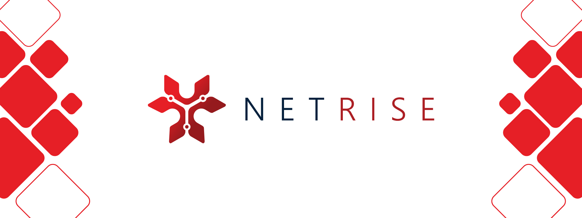 NetRise | Austin TX