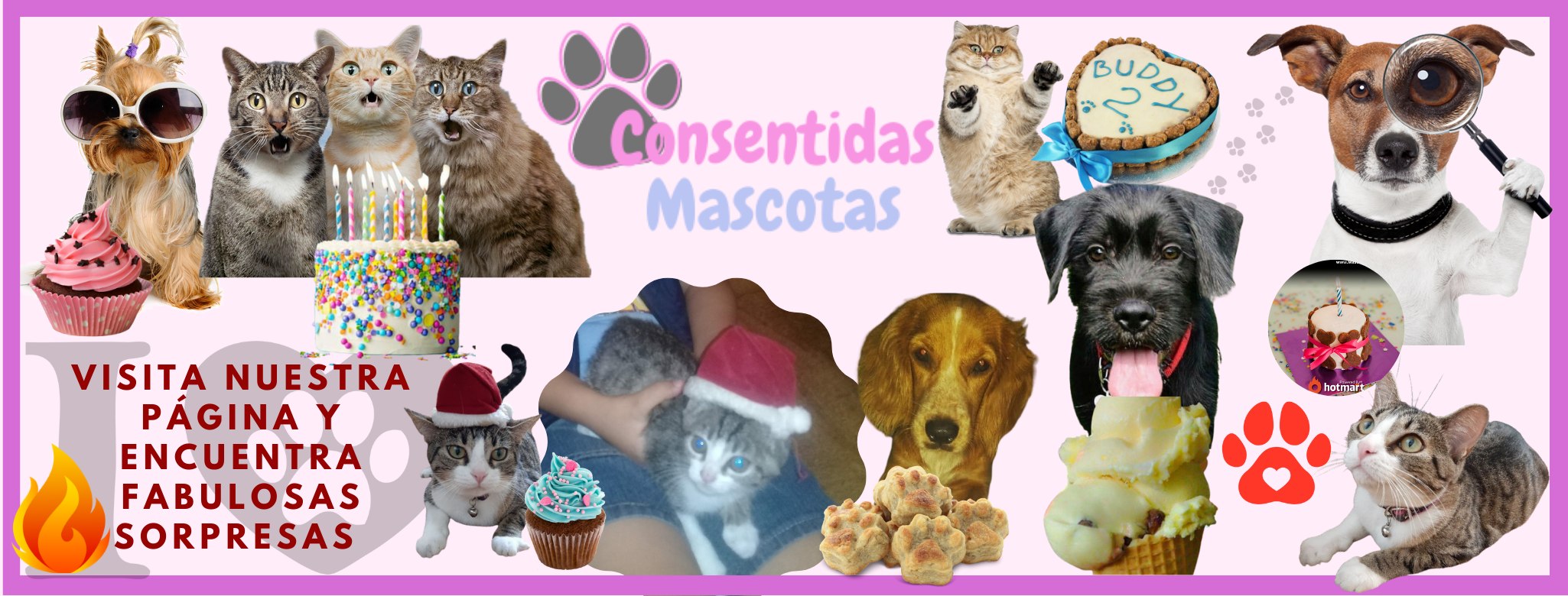 Mascotas Consentidas added a new photo. - Mascotas Consentidas