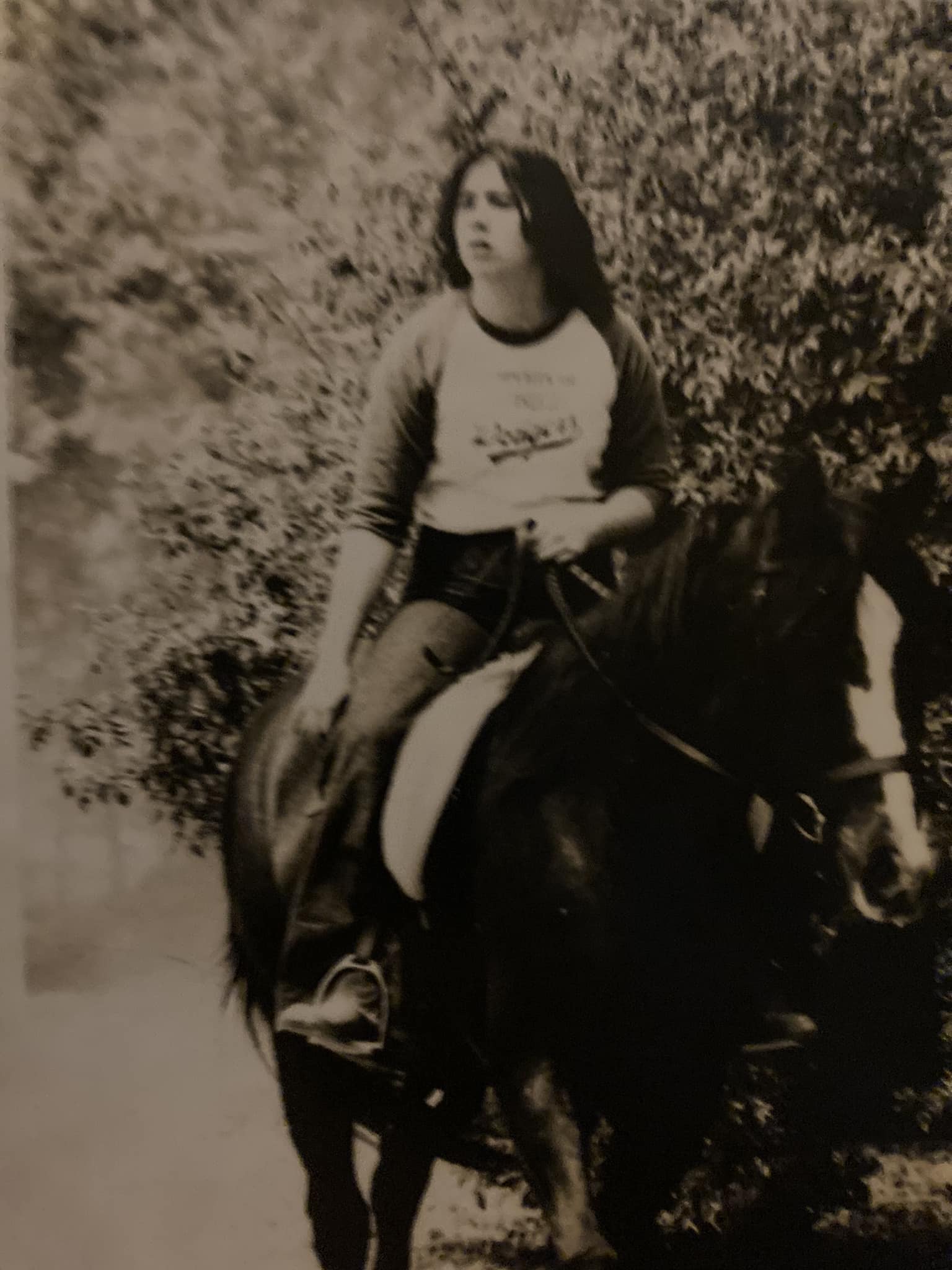 childhood experiences with horses in the 80s
