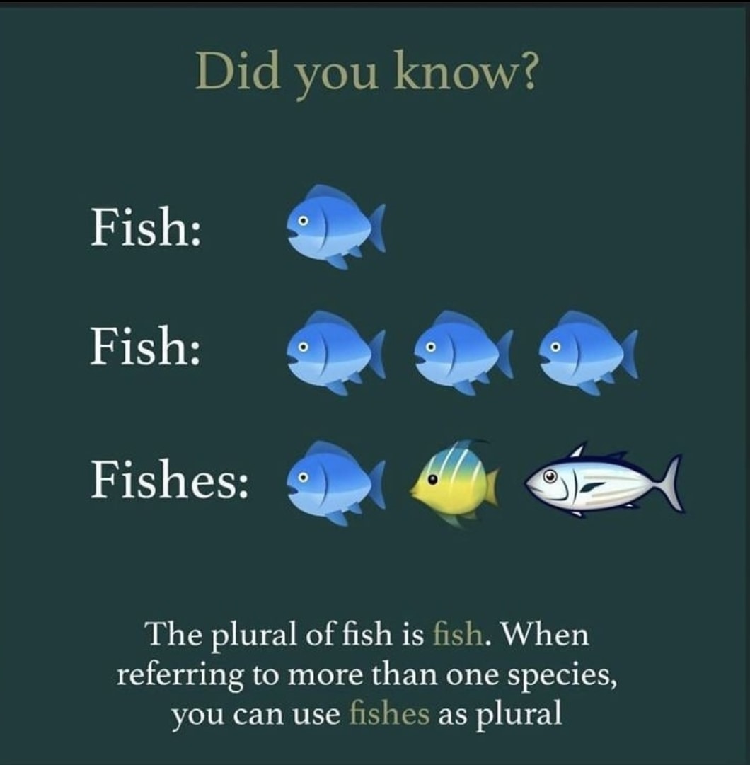 English Is Fun English Is Fun Added A New Photo With