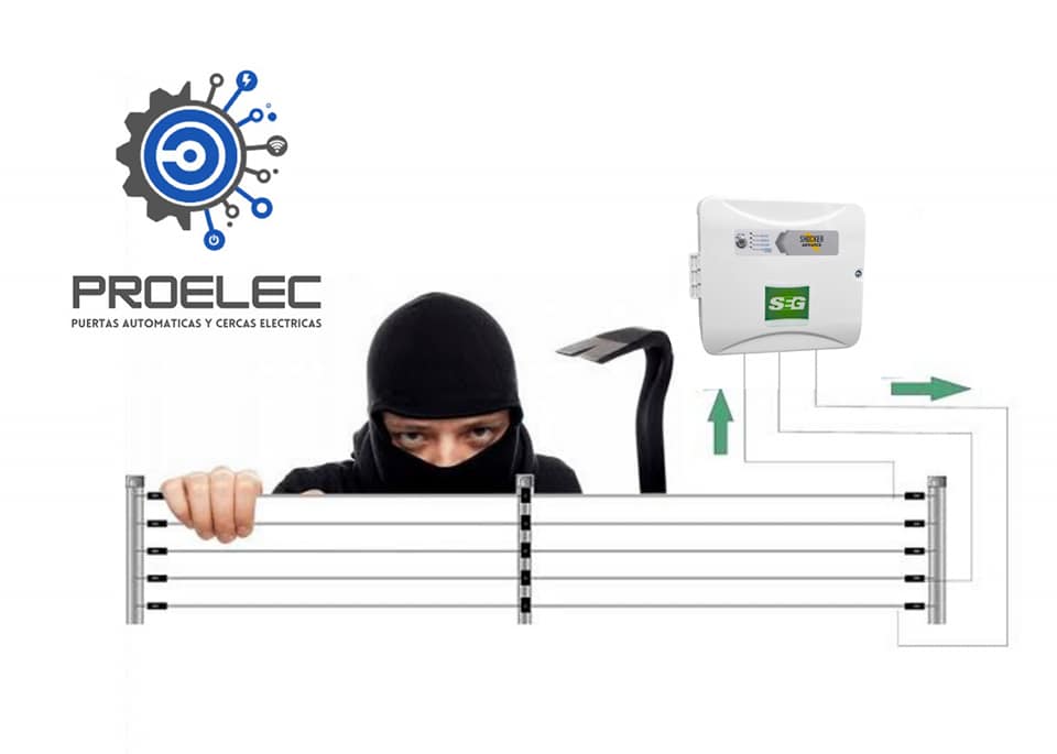 ProElec | Guadalajara