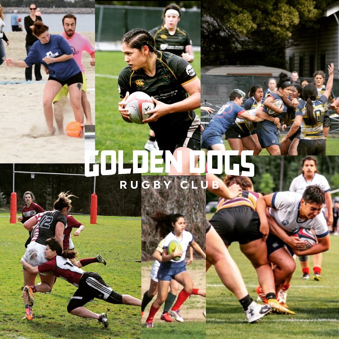 Happy National Girls & Women in... - Golden Dogs Rugby Club