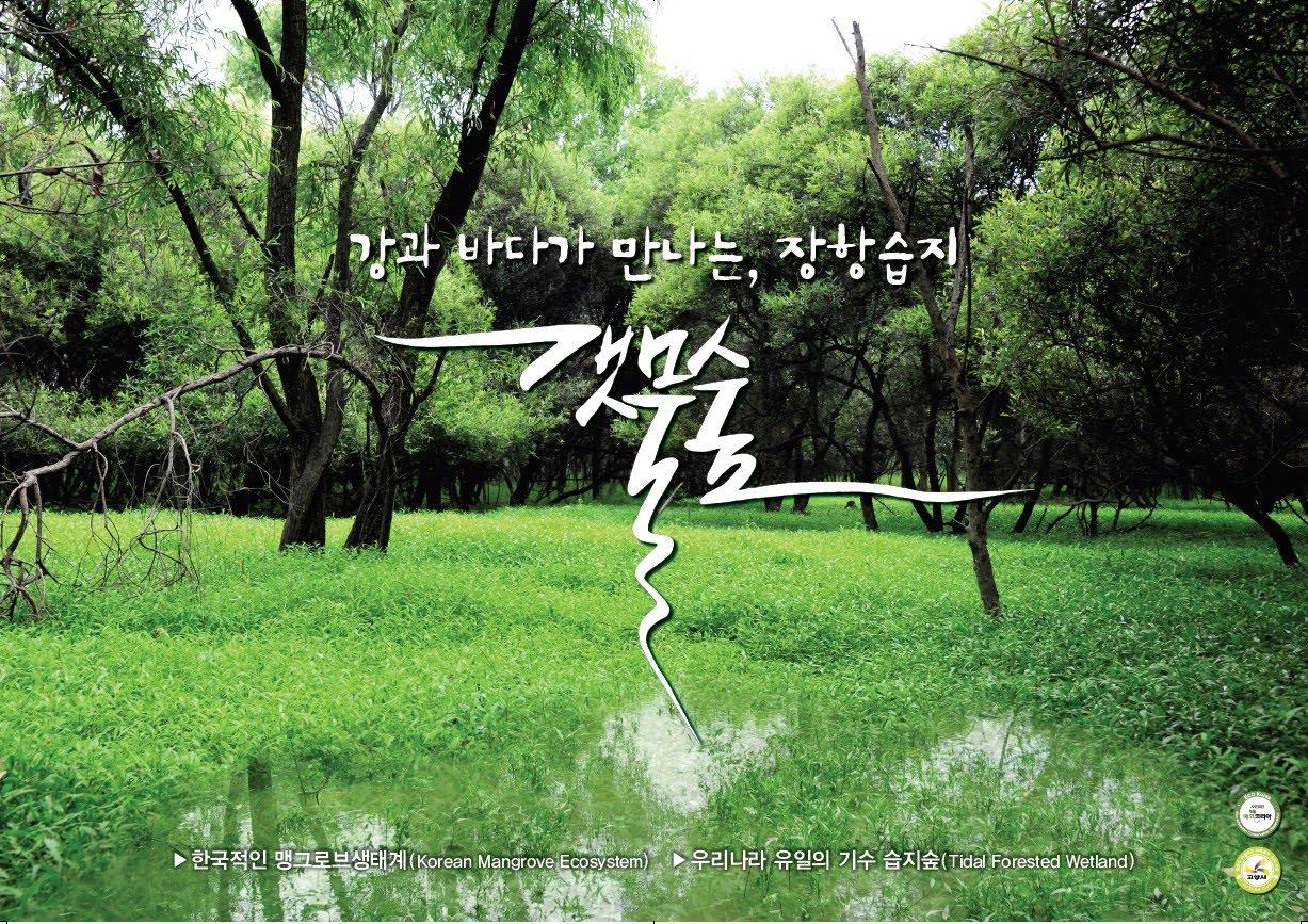 네이처링 naturing 자연을 읽다 × 세상을... - 네이처링 naturing 자연을 읽다 × 세상을 잇다