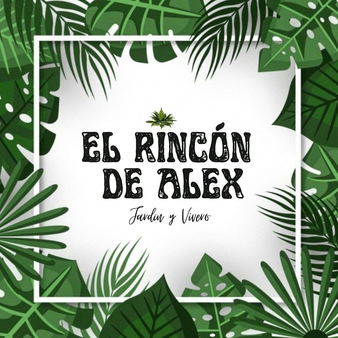 El Rincón de Alex added a new photo —... - El Rincón de Alex