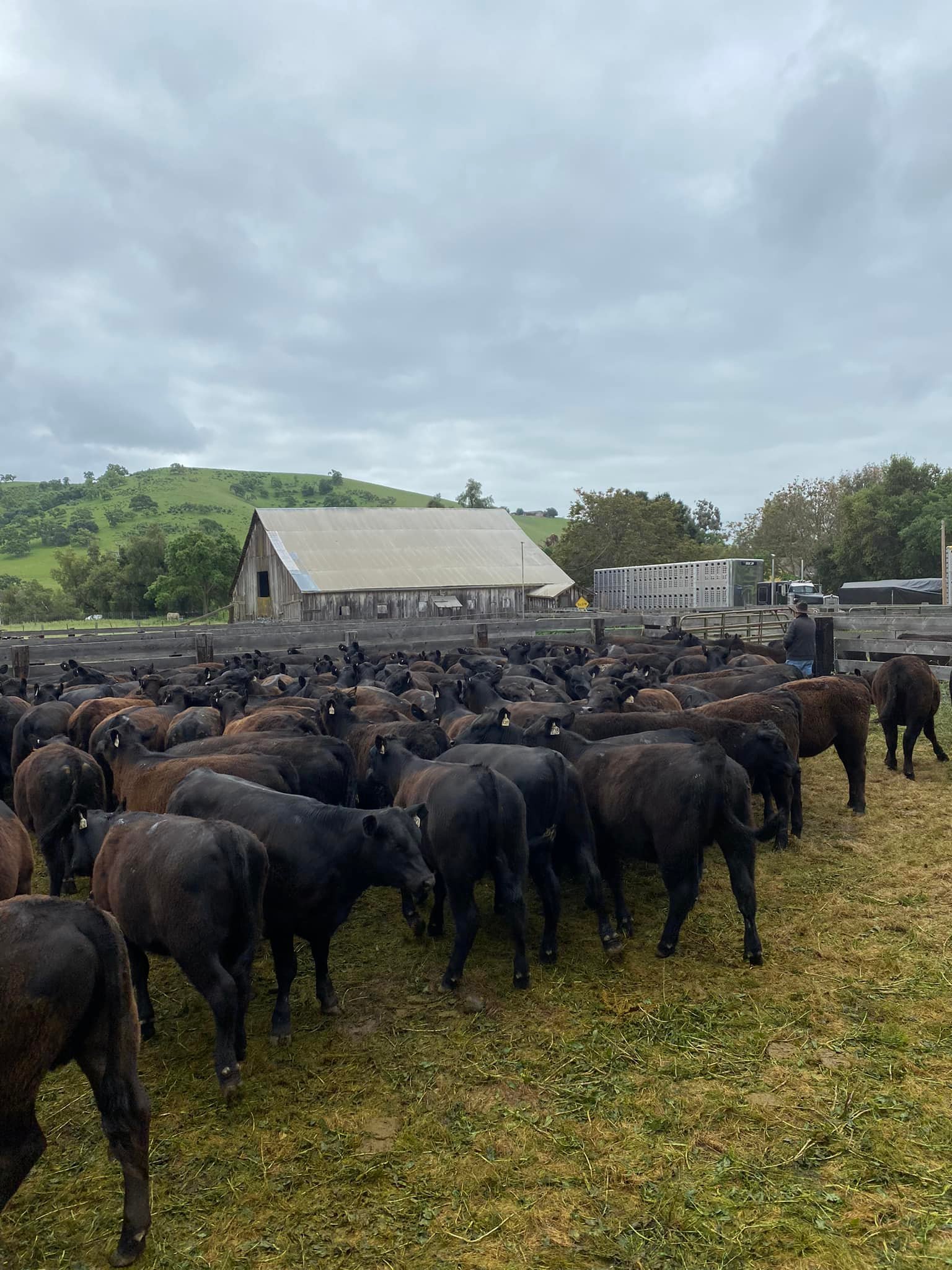 Bengard Ranch | Salinas CA
