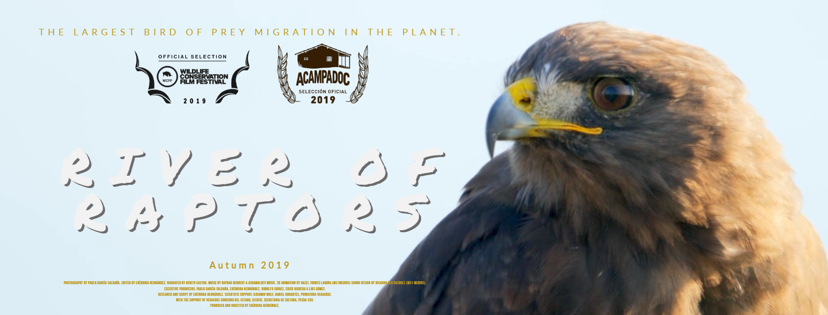 River of Raptors