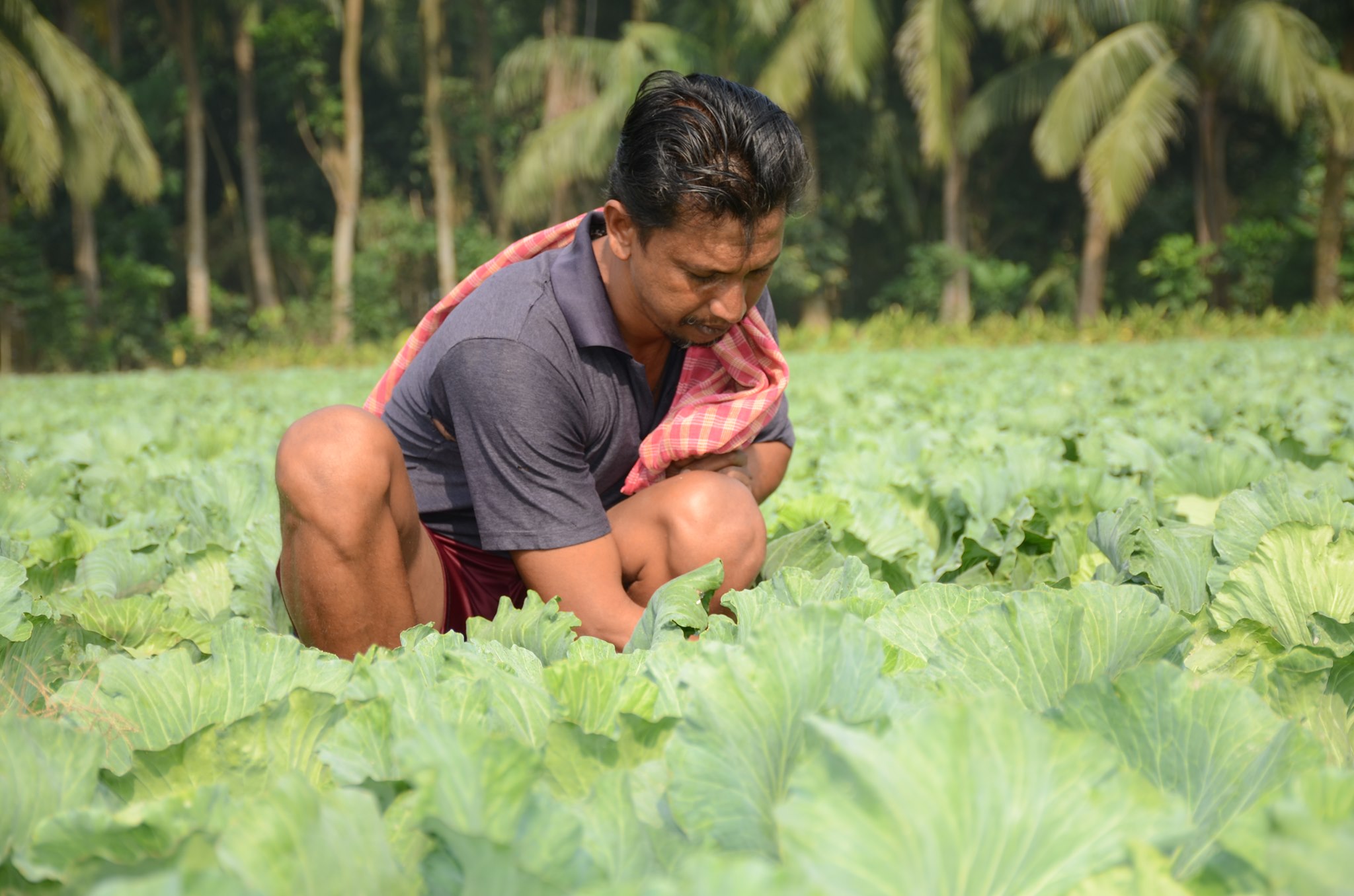 Gorakhpur Environmental Action Group -GEAG
