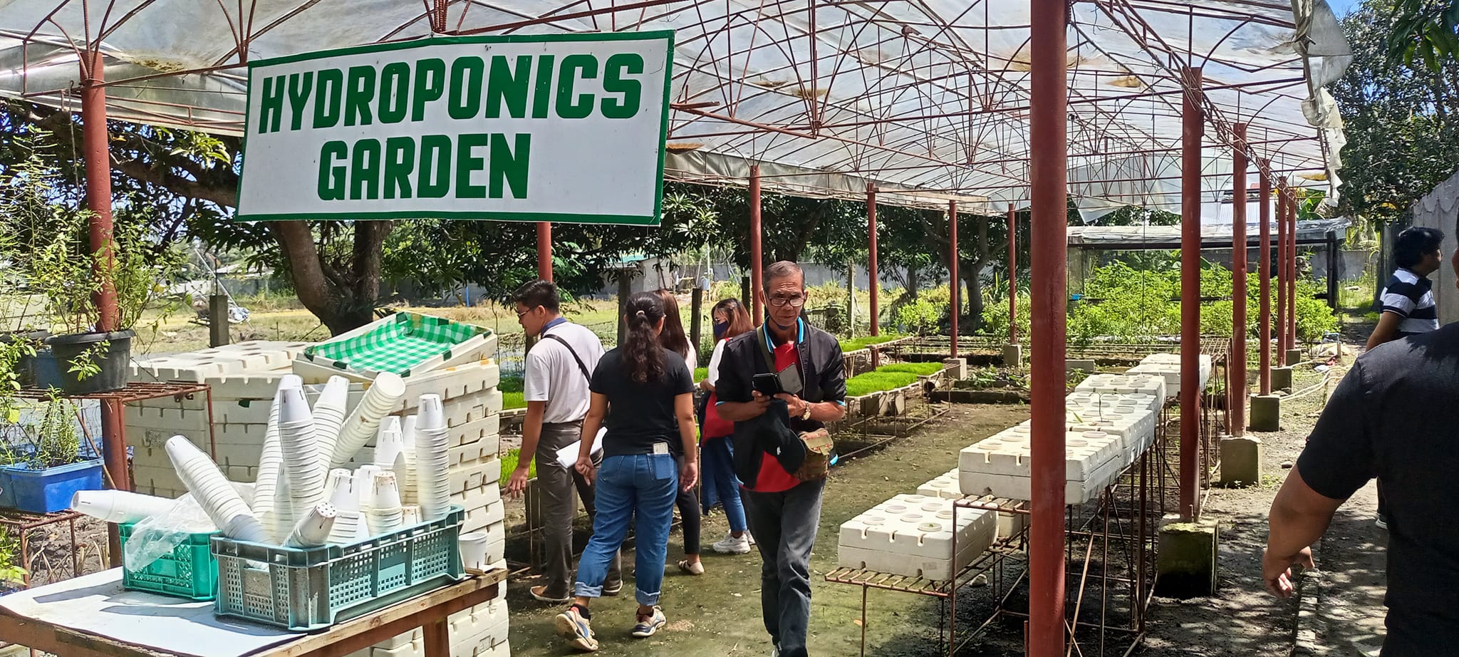 3 days Benchmarking and learning journey of ATI-RTC IX RCEF FARM ...
