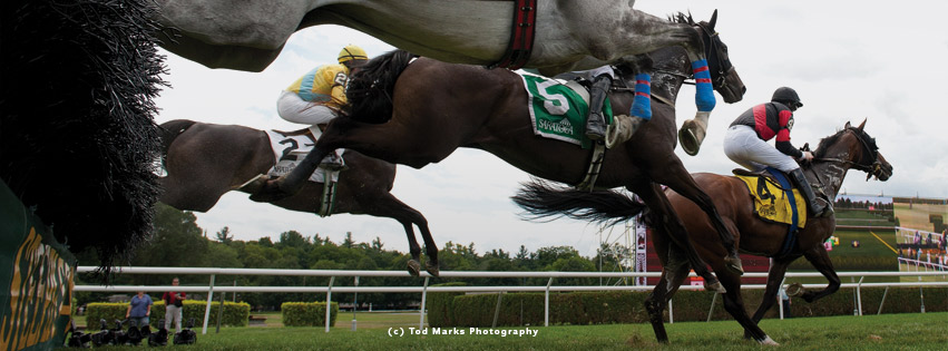 Livestreaming of NSA... - National Steeplechase Association | Facebook