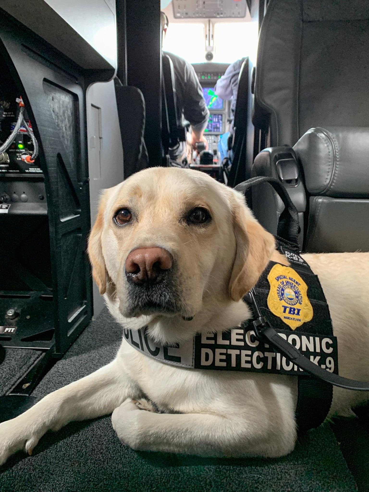 While our own Investigator... - Oak Ridge Police Department