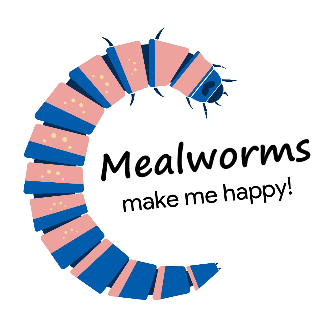 Navigating the world of beetle farming requires patience and a ...