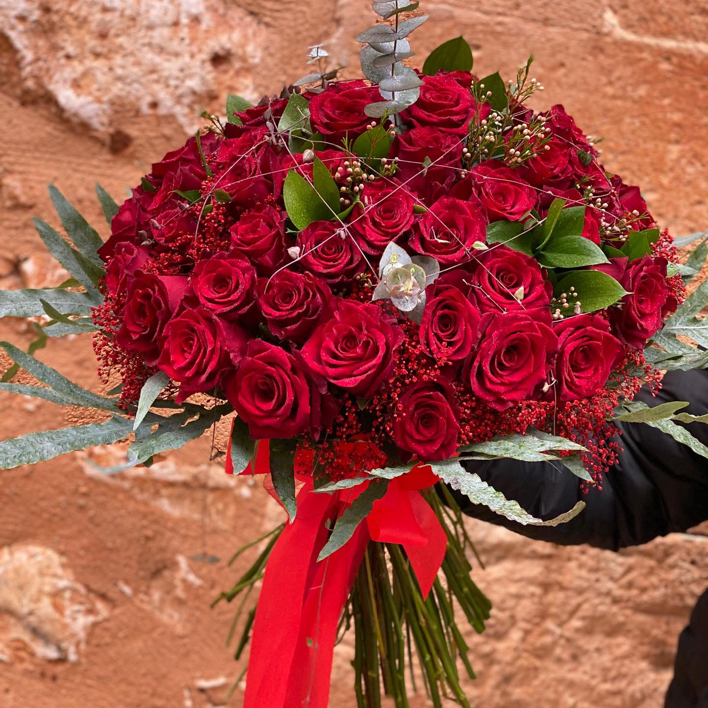 Explorer roses - The true splendor of roses shines through... | Facebook