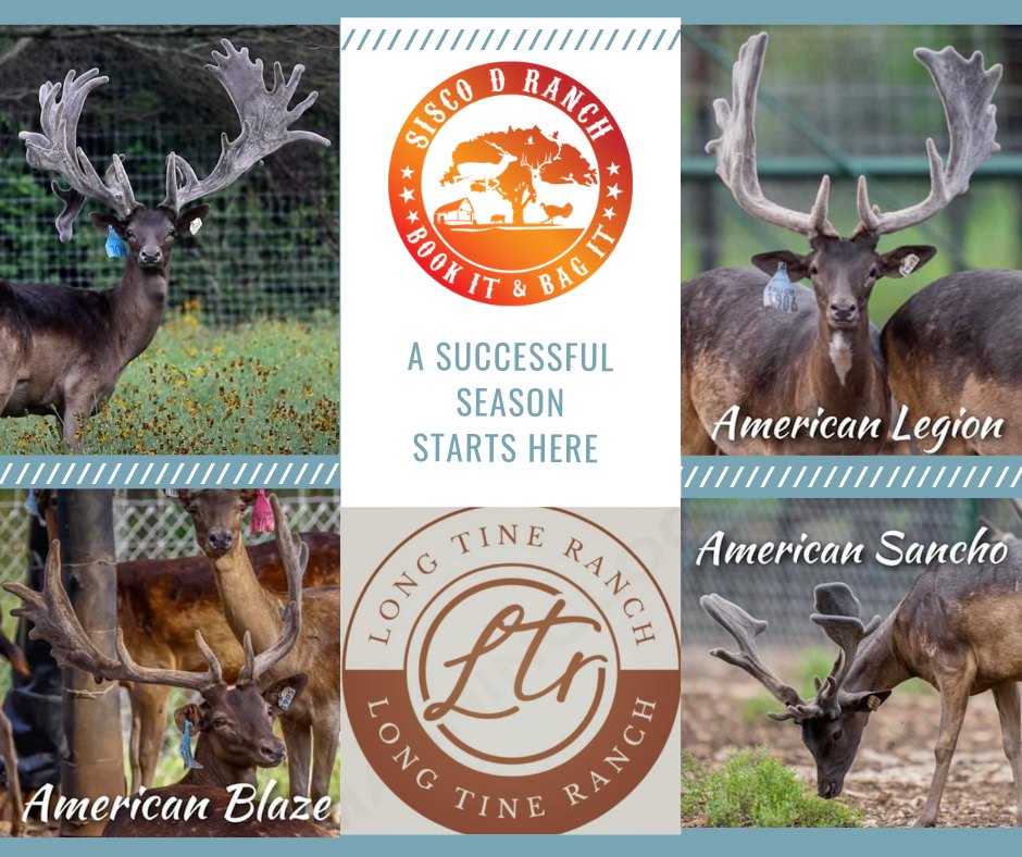 Long Tine Ranch | Quinlan TX