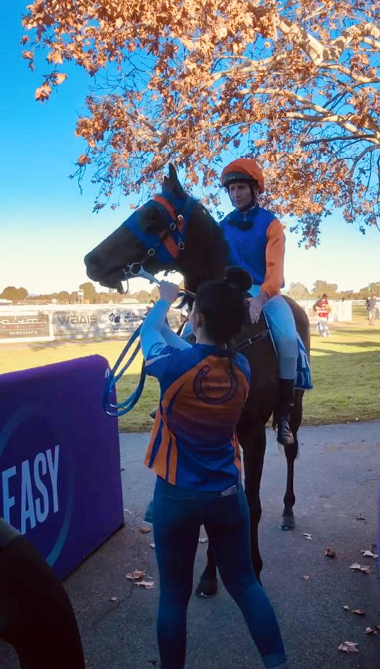 Ledger Racing - Congratulations to the connections of...