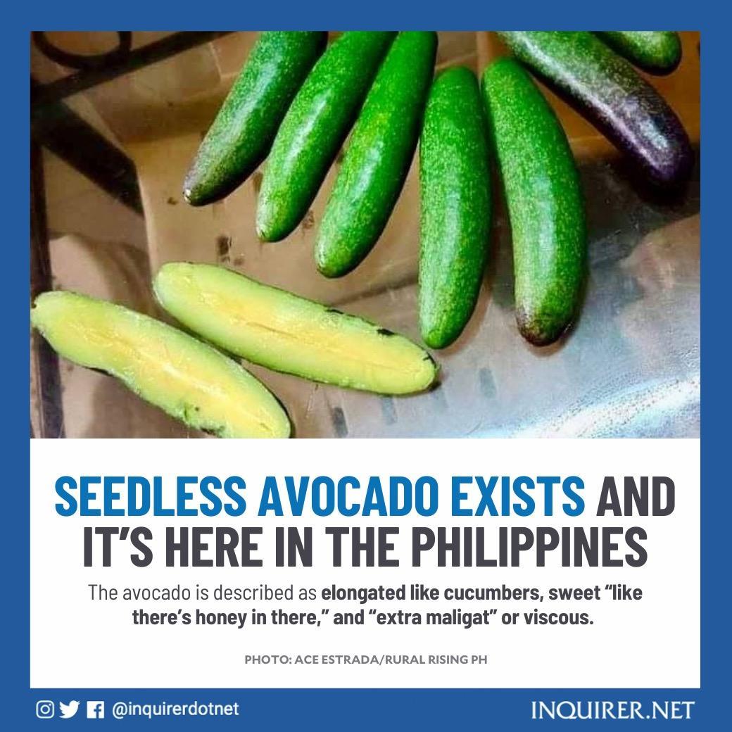 INQUIRER.net - #FromTheArchives: Called cocktail avocados,... | Facebook