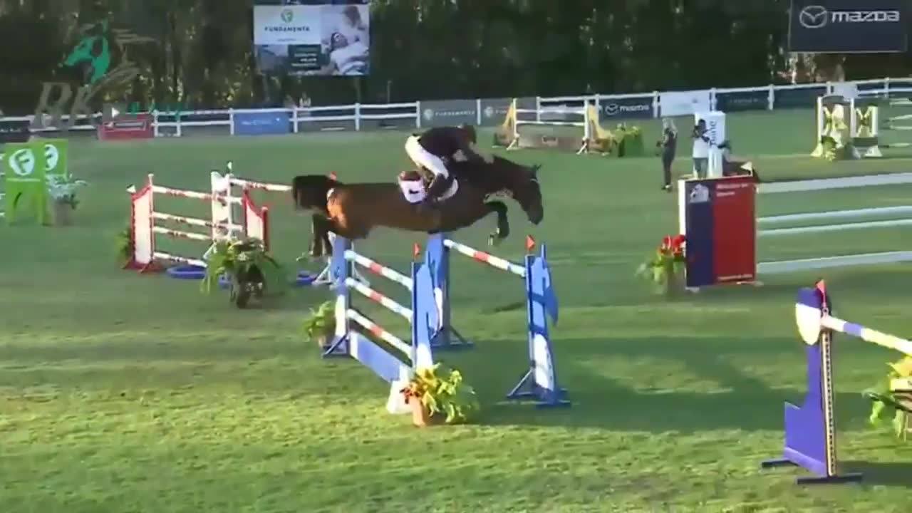 Normandie Terre de Cheval... - Normandie Terre de Cheval