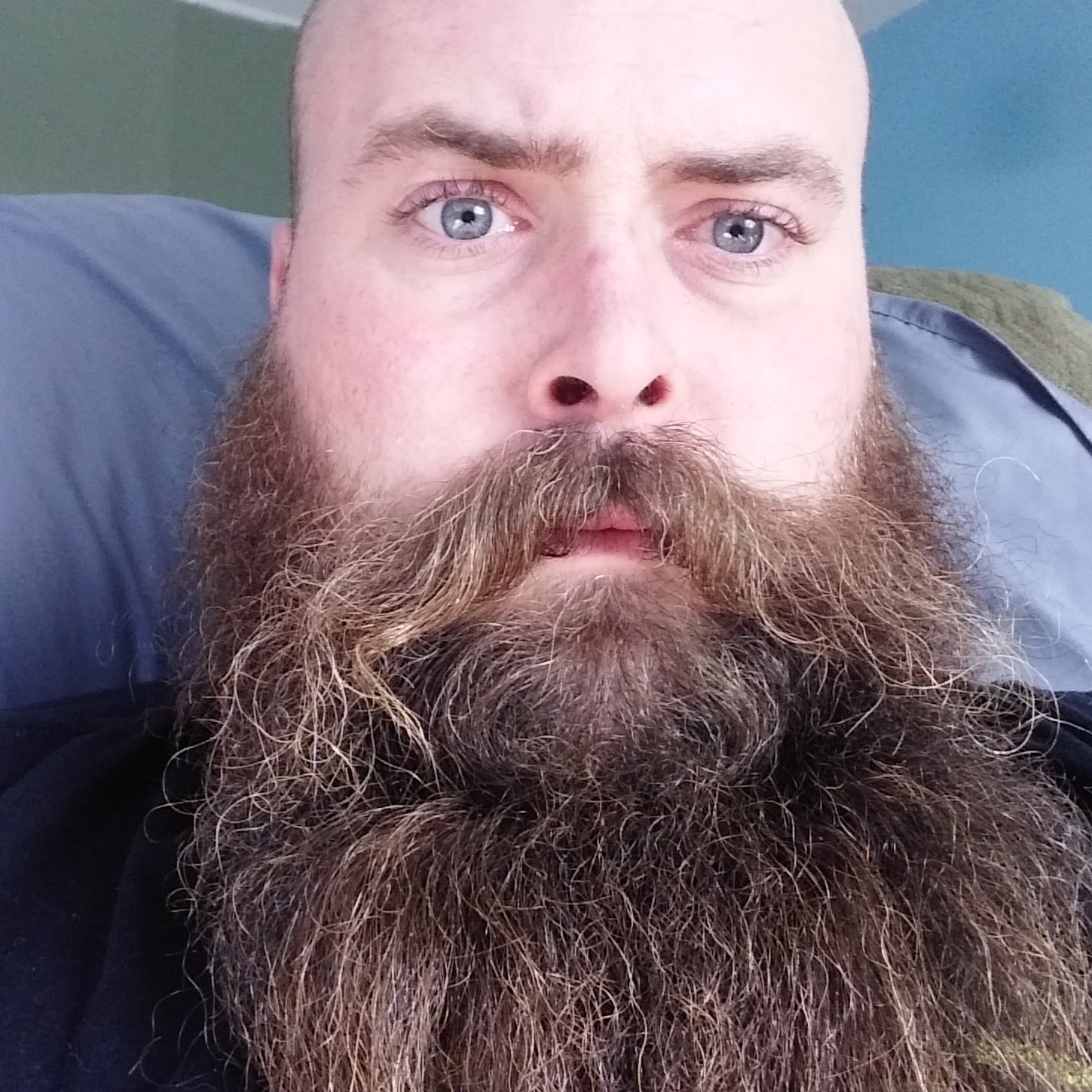 Craig Rosen's Beard