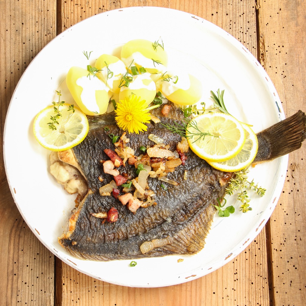 The FishLovers - De Mei-Schol is er weer! In de wintermaanden is de ...