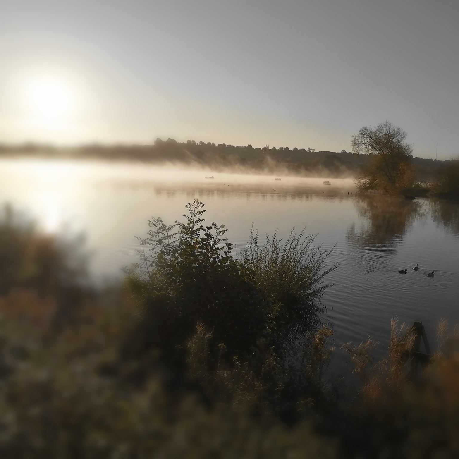Friends of Daventry Country Park & Borough Hill