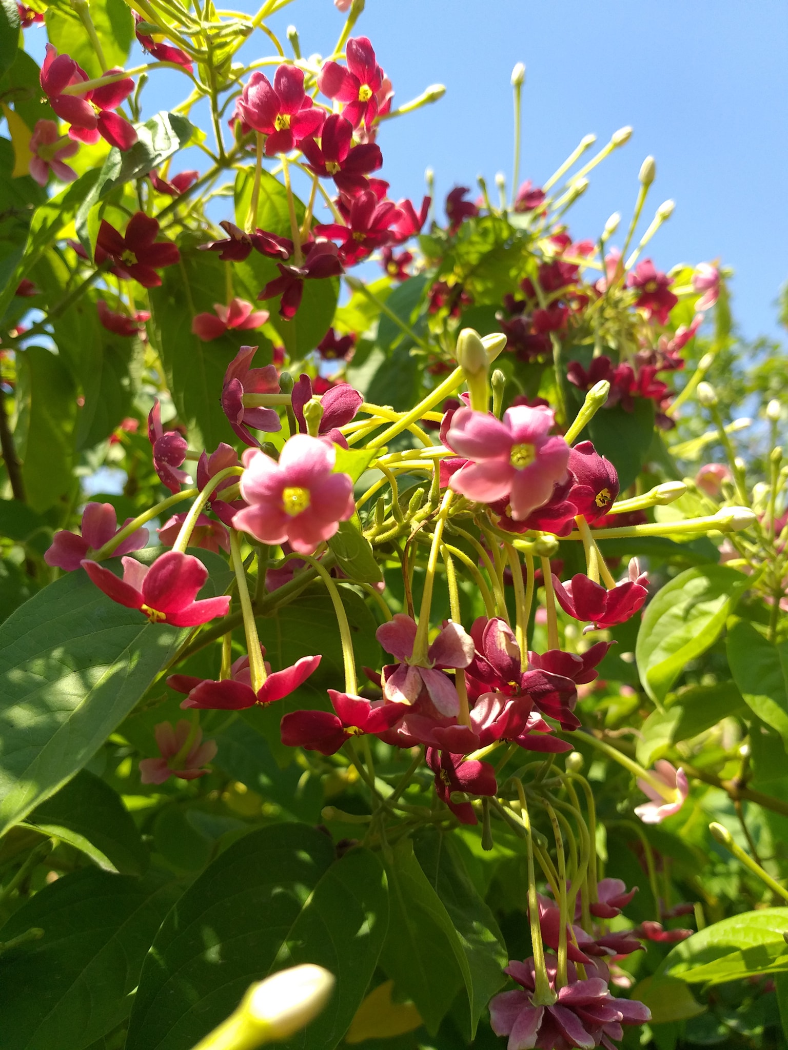 Bellezas de Araxa