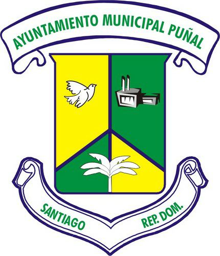 Municipio de Puñal