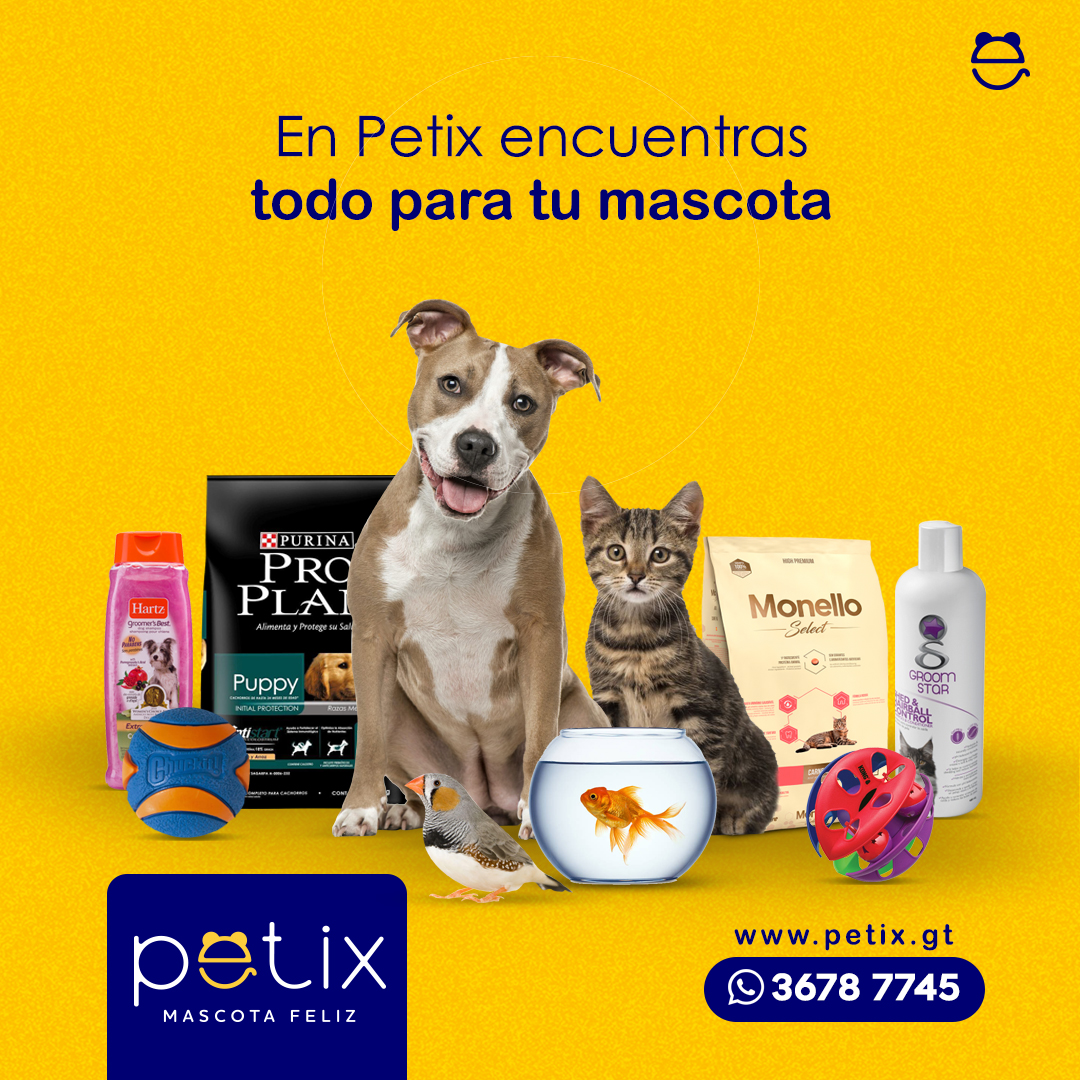 Petix - ¡Les deseamos feliz inicio de semana! 🐶😺😃...