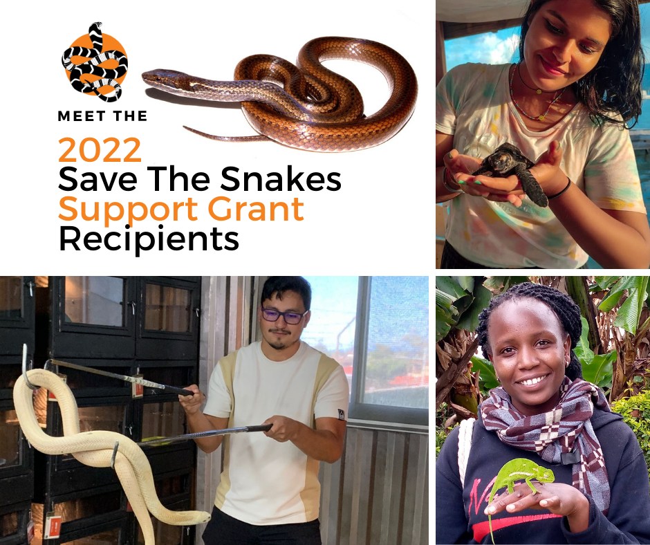 Save The Snakes - Five years ago, Save The Snakes was... | Facebook